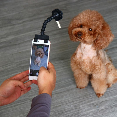 Accessoire pour Selfie chien et chat