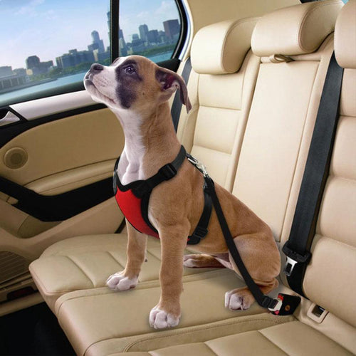 SECURIL: Ceinture de sécurité voiture pour chiens
