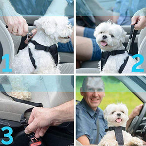 SECURIL: Ceinture de sécurité voiture pour chiens